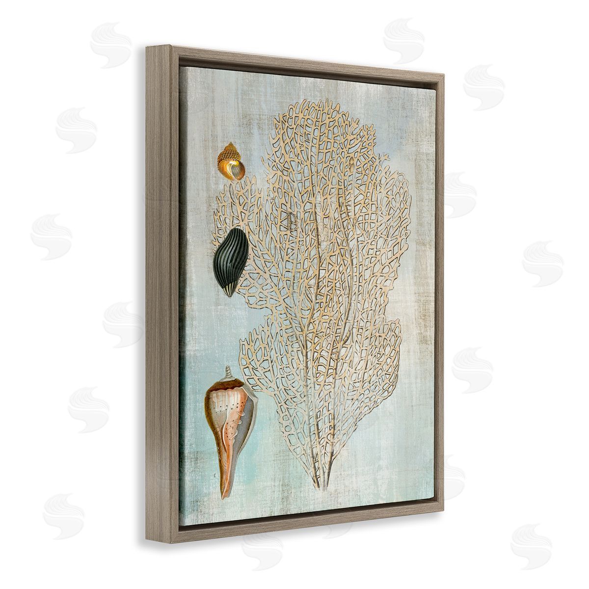 Detailed Coral & Seashells Brown Floating Frame Canvas Wall Art, Home Decor by Susan Arnot