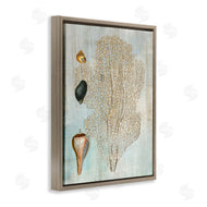 Susan Arnot | Detailed Coral & Seashells