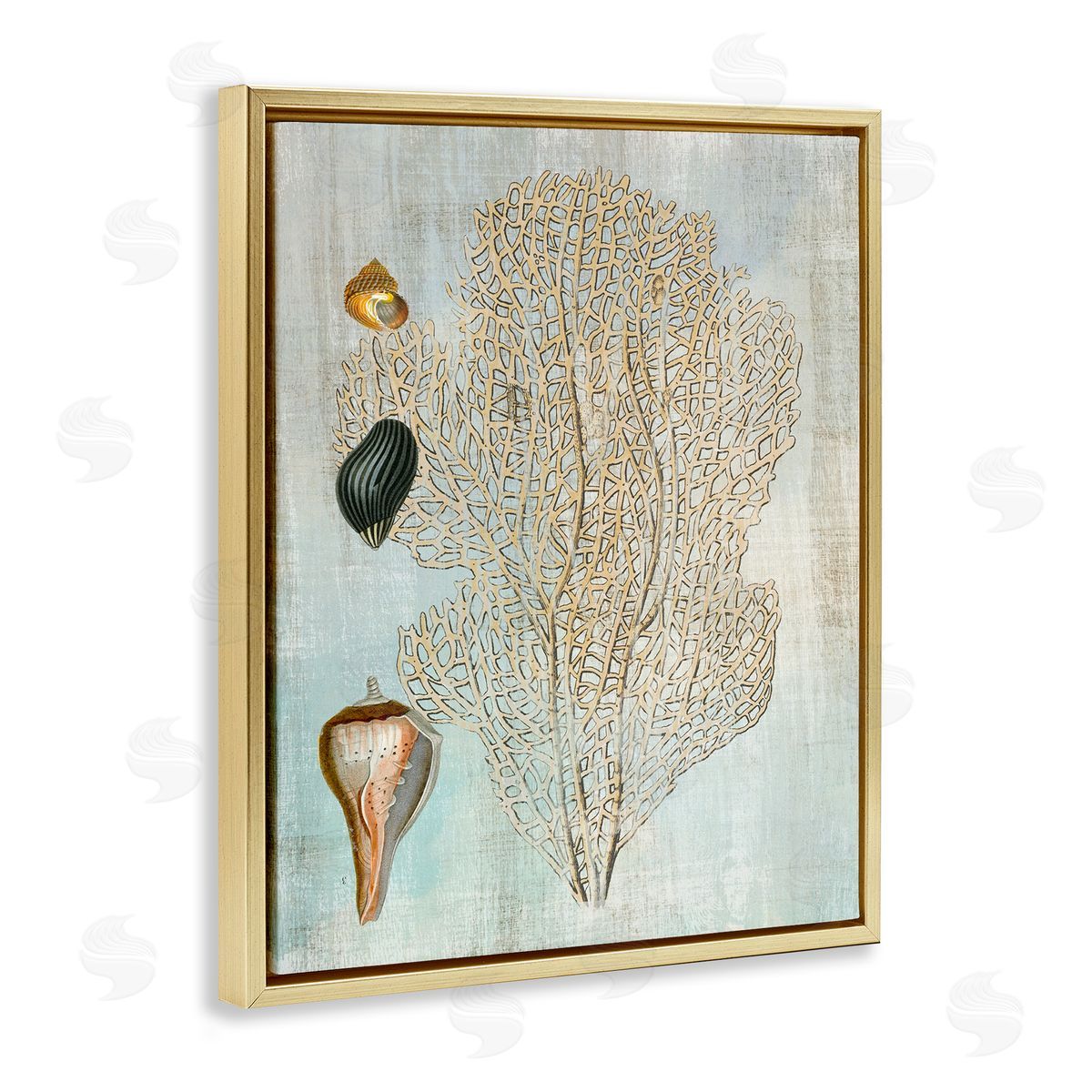 Detailed Coral & Seashells Gold Floating Frame Canvas Wall Art, Home Decor by Susan Arnot