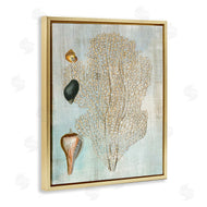 Susan Arnot | Detailed Coral & Seashells