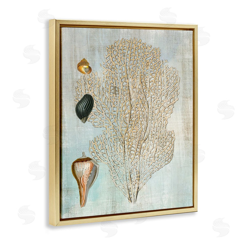 Susan Arnot | Detailed Coral & Seashells