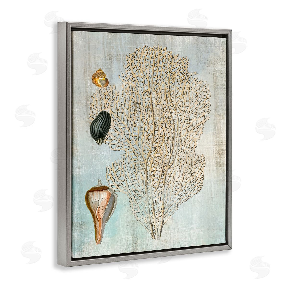 Detailed Coral & Seashells Grey Floating Frame Canvas Wall Art, Home Decor by Susan Arnot