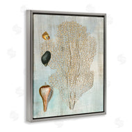 Susan Arnot | Detailed Coral & Seashells