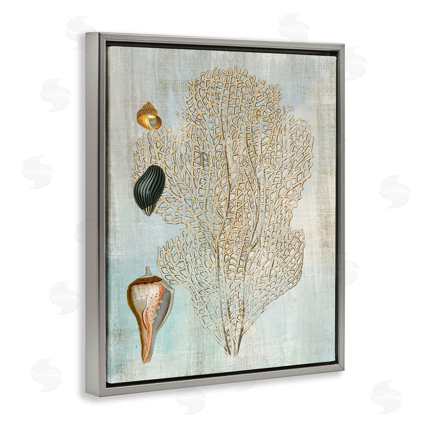 Susan Arnot | Detailed Coral & Seashells