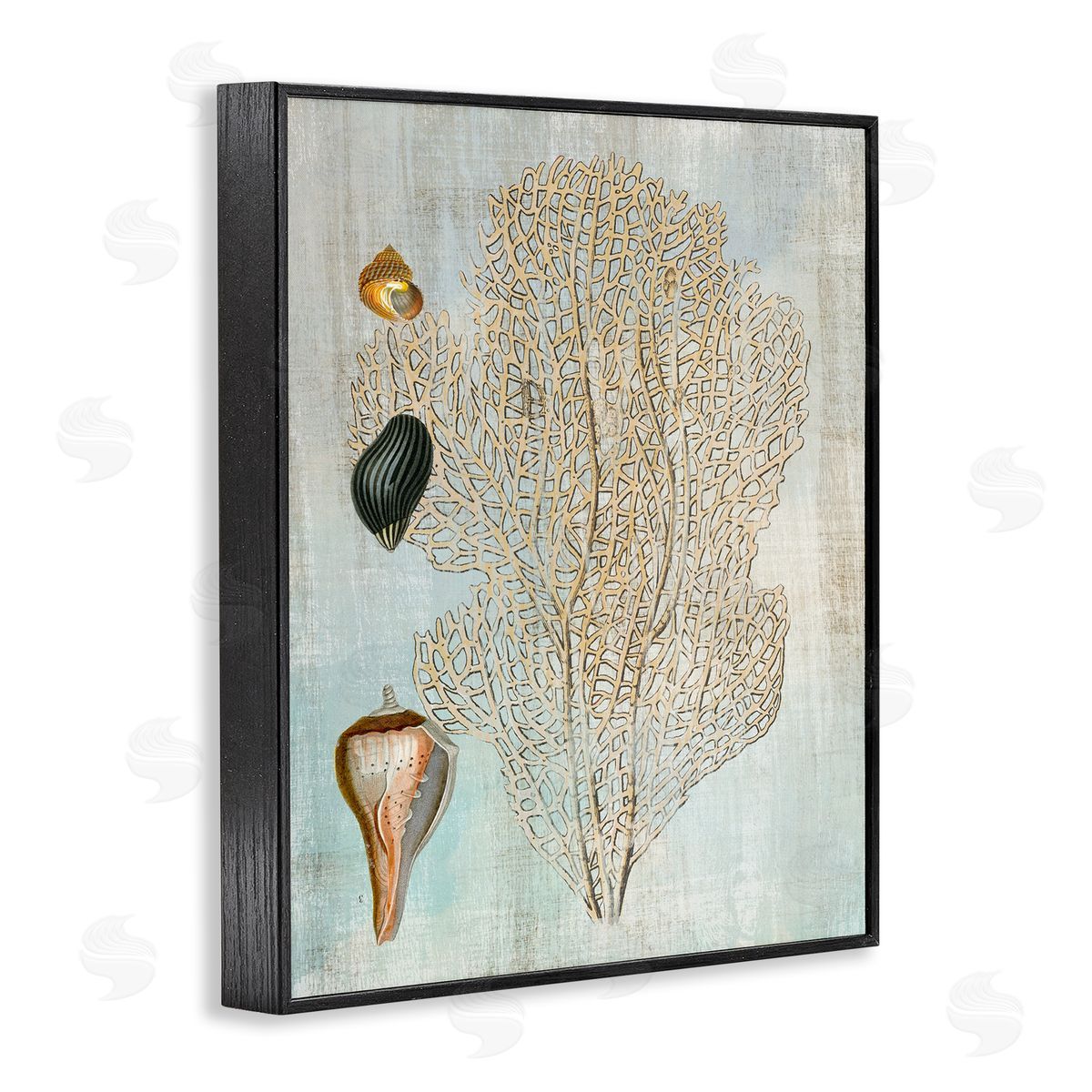 Detailed Coral & Seashells Black Frame Print Wall Art, Home Decor by Susan Arnot