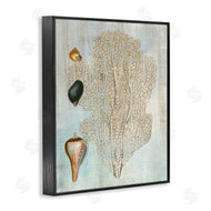 Susan Arnot | Detailed Coral & Seashells