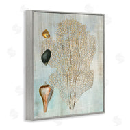 Susan Arnot | Detailed Coral & Seashells