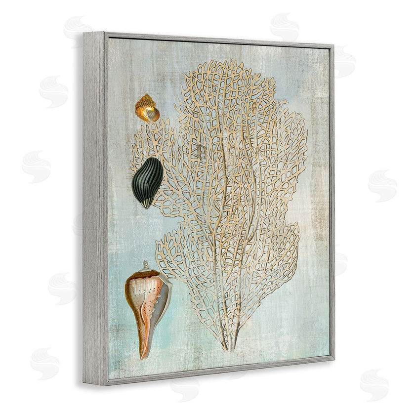 Susan Arnot | Detailed Coral & Seashells