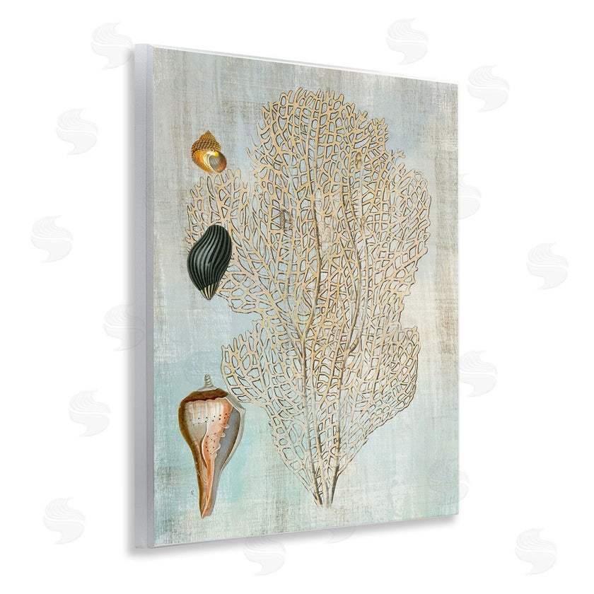Susan Arnot | Detailed Coral & Seashells