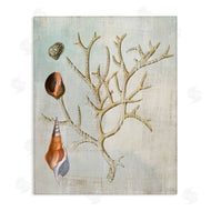 Susan Arnot | Seashells and Coral Branch