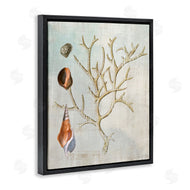 Susan Arnot | Seashells and Coral Branch