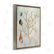 Susan Arnot | Seashells and Coral Branch