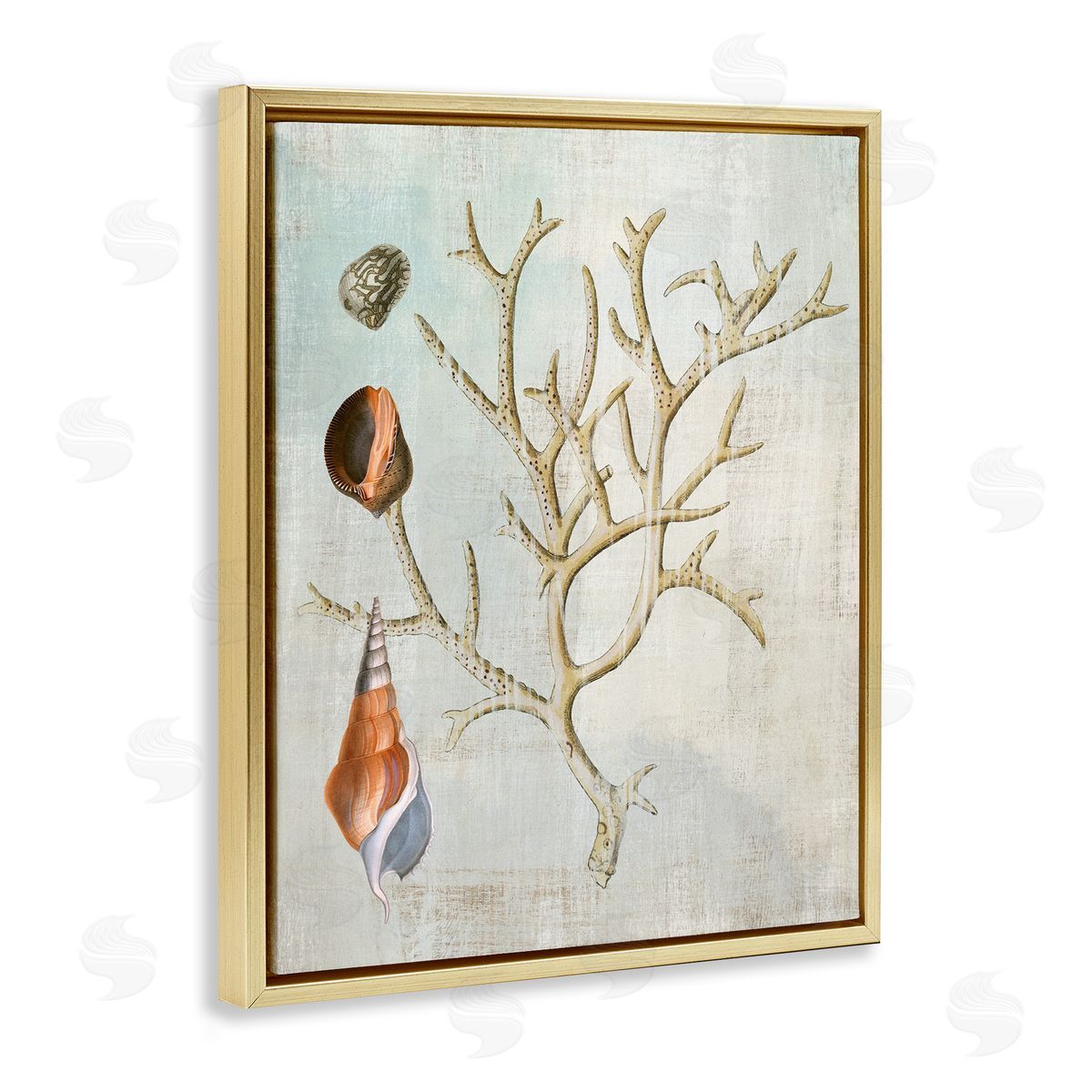Seashells and Coral Branch Gold Floating Frame Canvas Wall Art, Home Decor by Susan Arnot