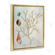 Susan Arnot | Seashells and Coral Branch