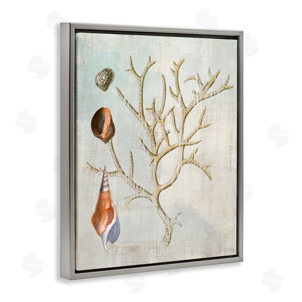 Seashells and Coral Branch Grey Floating Frame Canvas Wall Art, Home Decor by Susan Arnot