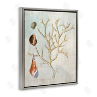 Susan Arnot | Seashells and Coral Branch
