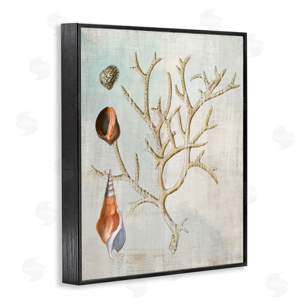 Seashells and Coral Branch Black Frame Print Wall Art, Home Decor by Susan Arnot