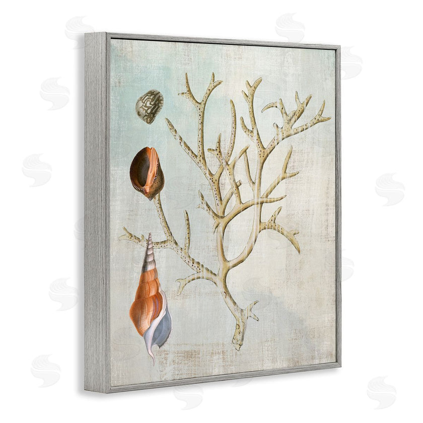 Susan Arnot | Seashells and Coral Branch