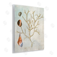 Susan Arnot | Seashells and Coral Branch