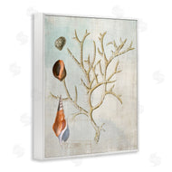 Susan Arnot | Seashells and Coral Branch