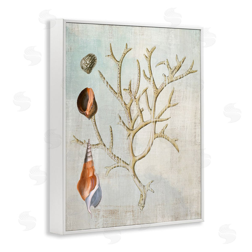 Susan Arnot | Seashells and Coral Branch
