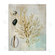 Susan Arnot | Coral Branch & Cowrie Shells