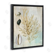 Susan Arnot | Coral Branch & Cowrie Shells