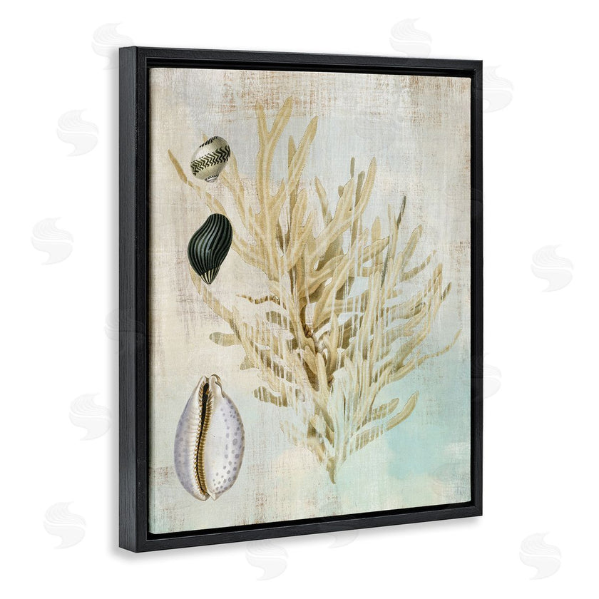 Susan Arnot | Coral Branch & Cowrie Shells
