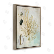 Susan Arnot | Coral Branch & Cowrie Shells