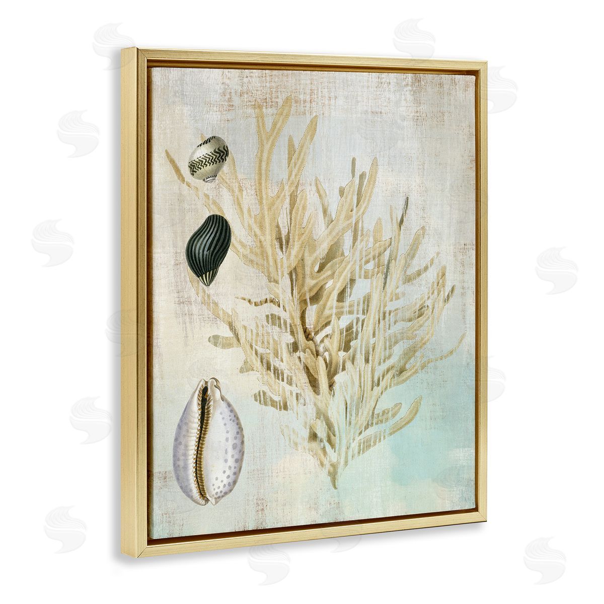Coral Branch & Cowrie Shells Gold Floating Frame Canvas Wall Art, Home Decor by Susan Arnot