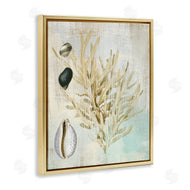 Susan Arnot | Coral Branch & Cowrie Shells