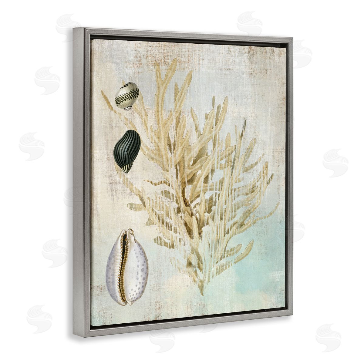 Coral Branch & Cowrie Shells Grey Floating Frame Canvas Wall Art, Home Decor by Susan Arnot
