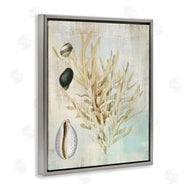 Susan Arnot | Coral Branch & Cowrie Shells