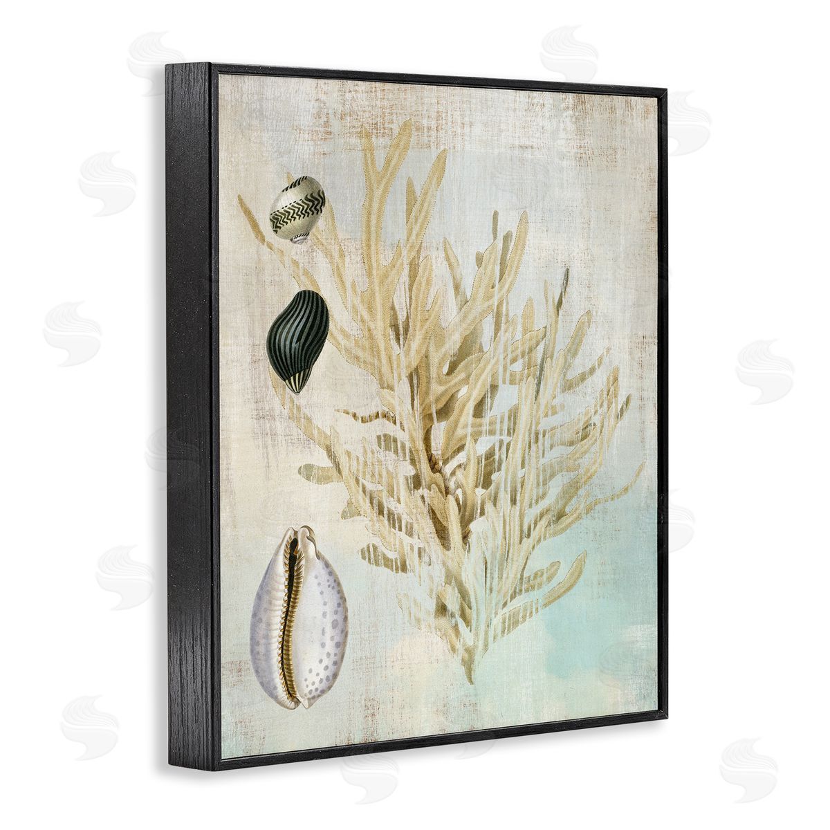Coral Branch & Cowrie Shells Black Frame Print Wall Art, Home Decor by Susan Arnot
