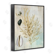 Susan Arnot | Coral Branch & Cowrie Shells