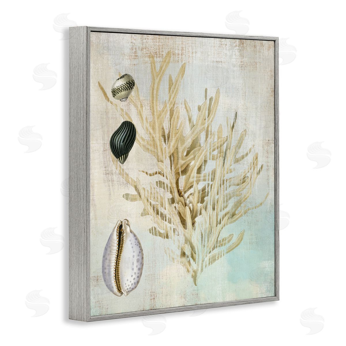 Coral Branch & Cowrie Shells Grey Frame Print Wall Art, Home Decor by Susan Arnot