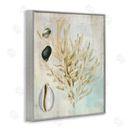 Susan Arnot | Coral Branch & Cowrie Shells