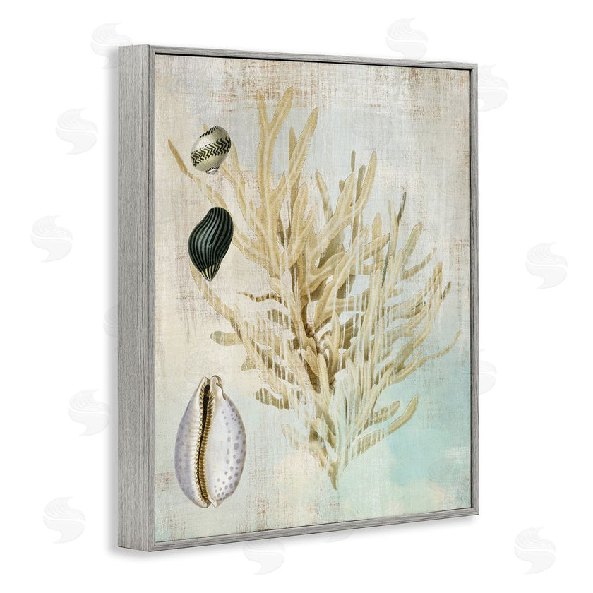 Susan Arnot | Coral Branch & Cowrie Shells