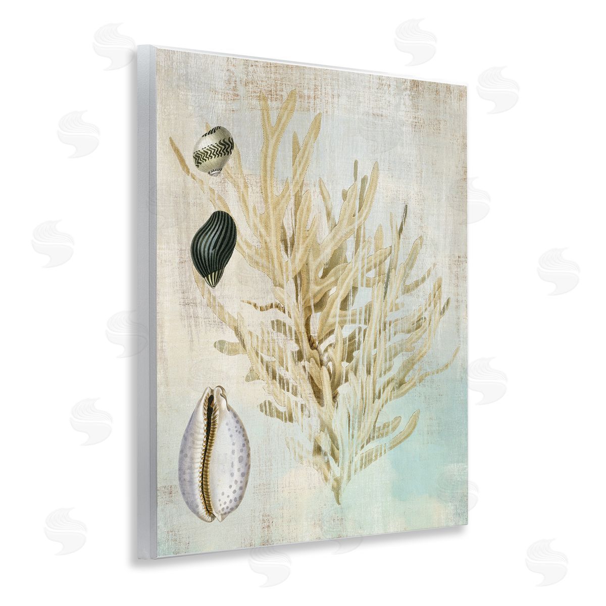 Coral Branch & Cowrie Shells Wood Plaque Wall Art, Home Decor by Susan Arnot