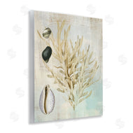 Susan Arnot | Coral Branch & Cowrie Shells