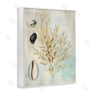 Susan Arnot | Coral Branch & Cowrie Shells