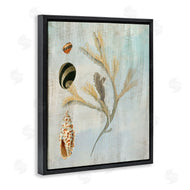 Susan Arnot | Mixed Seashells & Coral
