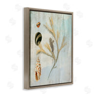 Susan Arnot | Mixed Seashells & Coral