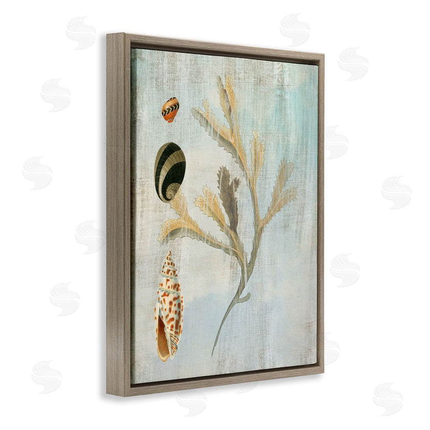 Susan Arnot | Mixed Seashells & Coral