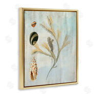Susan Arnot | Mixed Seashells & Coral