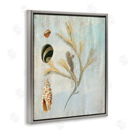 Susan Arnot | Mixed Seashells & Coral