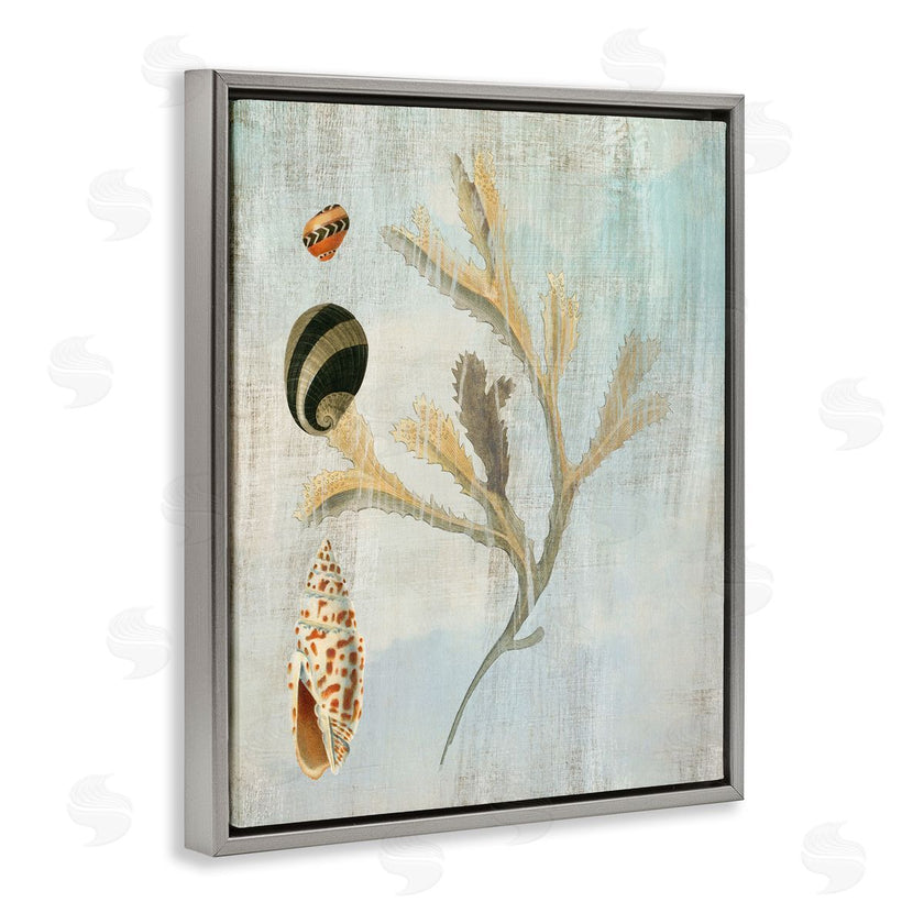 Susan Arnot | Mixed Seashells & Coral