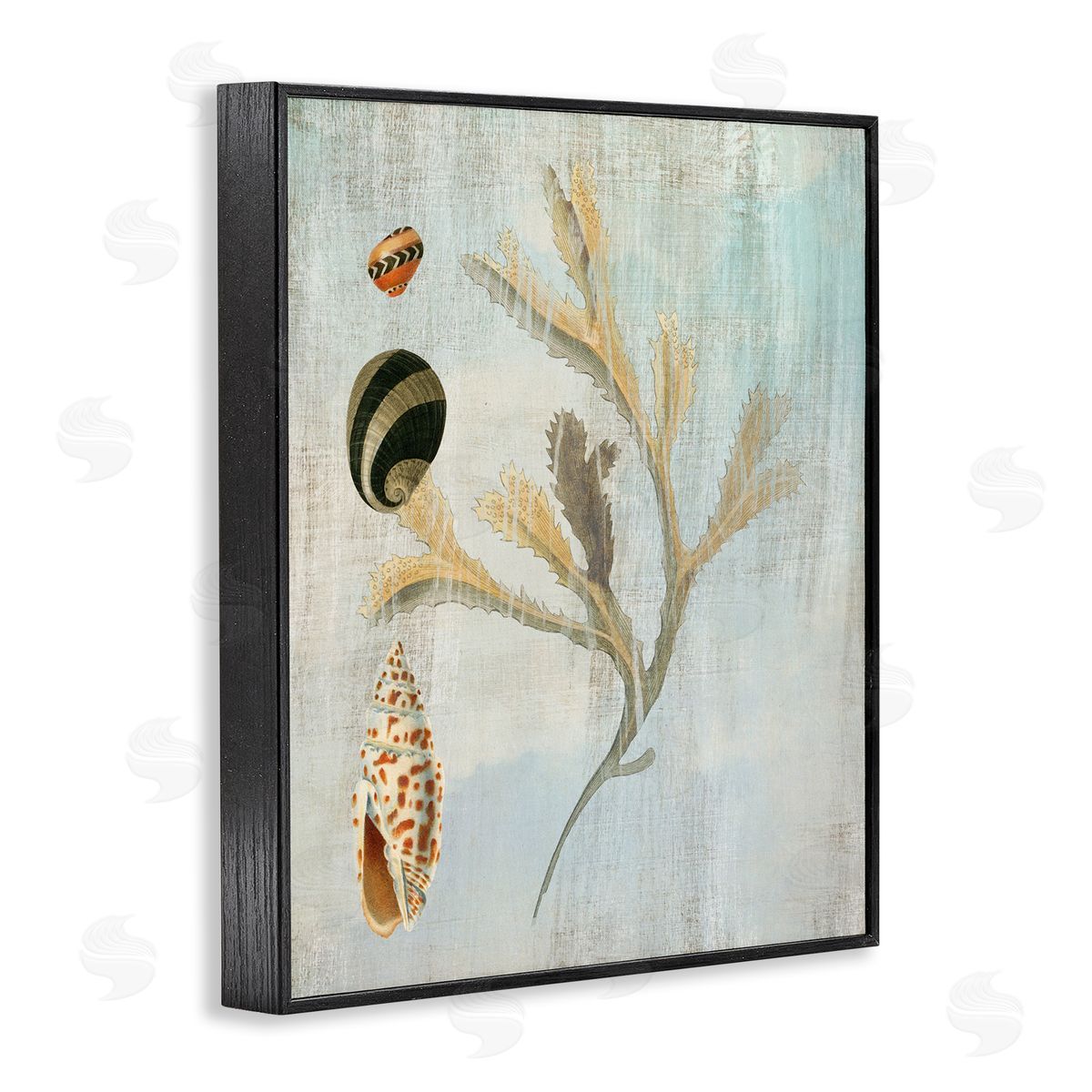 Mixed Seashells & Coral Black Frame Print Wall Art, Home Decor by Susan Arnot