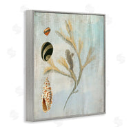 Susan Arnot | Mixed Seashells & Coral