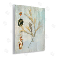 Susan Arnot | Mixed Seashells & Coral